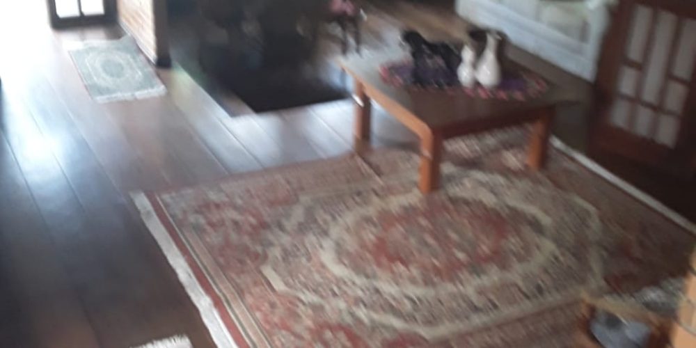 WhatsApp Image 2022-03-04 at 09.23.34