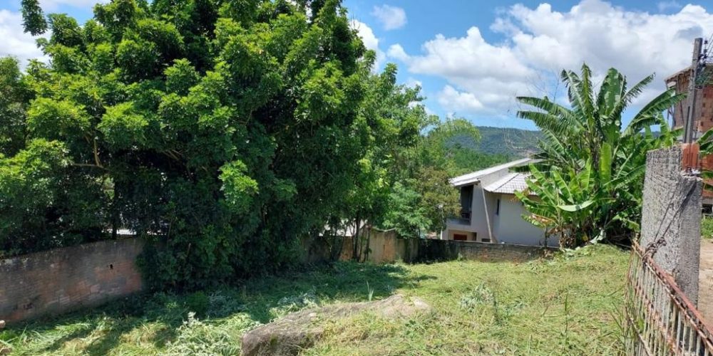 WhatsApp Image 2022-08-02 at 14.29.26