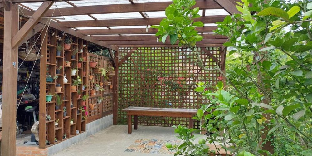 WhatsApp Image 2022-08-02 at 14.30.55 (10)