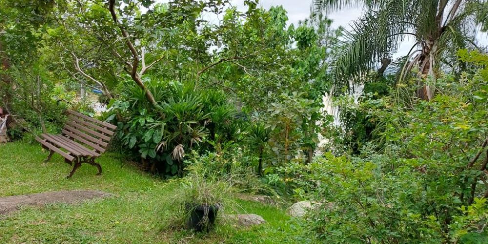 WhatsApp Image 2022-08-02 at 14.30.55 (14)