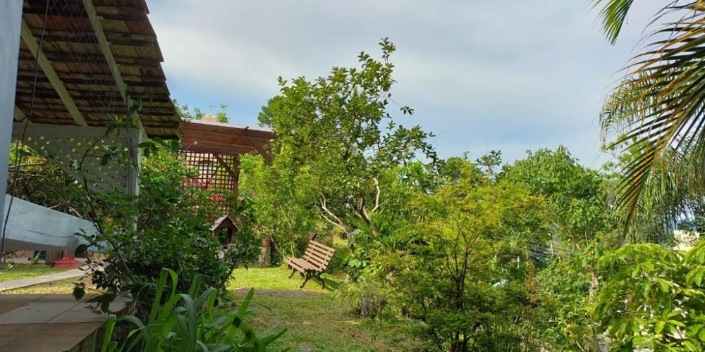 WhatsApp Image 2022-08-02 at 14.31.22