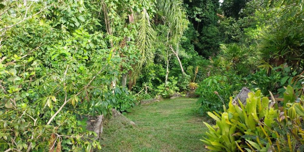 WhatsApp Image 2022-08-02 at 14.31.465