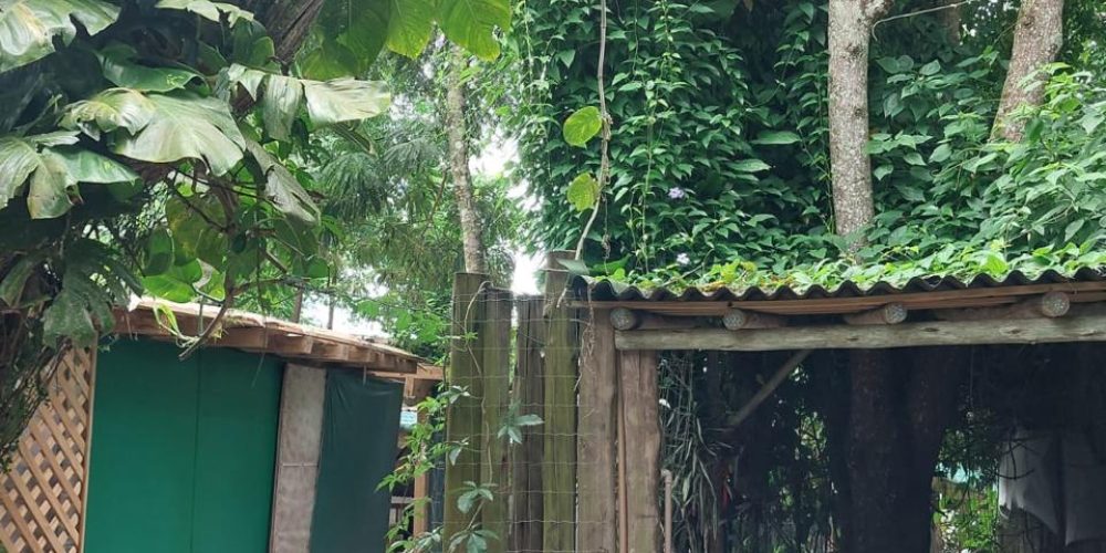 WhatsApp Image 2024-04-02 at 10.37.01 (5)