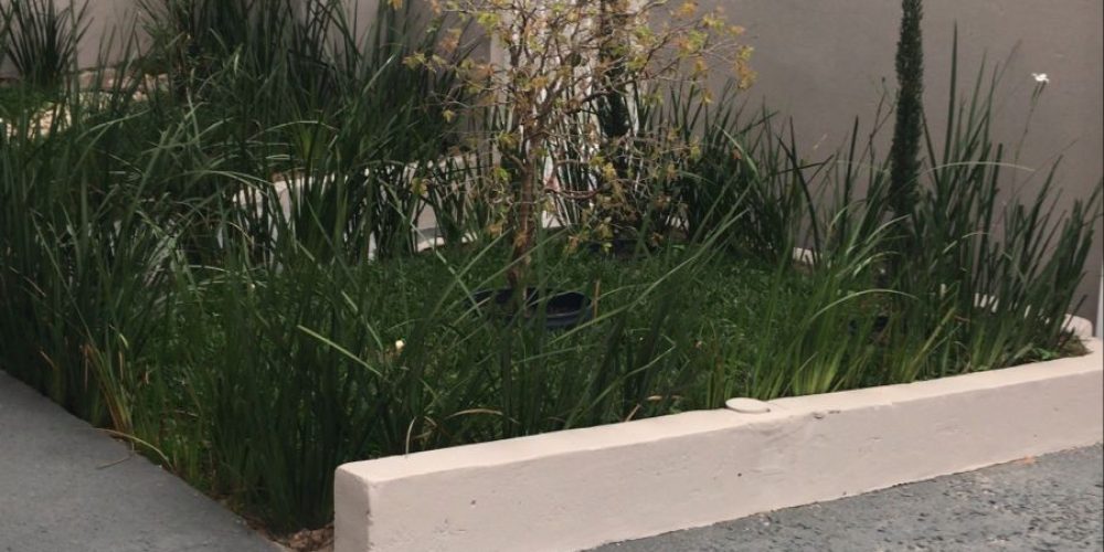 WhatsApp Image 2024-09-04 at 16.32.46